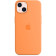 Чехол (клип-кейс) Apple для Apple iPhone 13 mini Silicone Case with MagSafe весенняя мимоза (MM1U3ZE/A) 