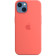 Чехол (клип-кейс) Apple для Apple iPhone 13 mini Silicone Case with MagSafe розовый помело (MM1V3ZE/A) 