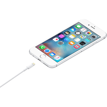 Кабель Apple A1480 MXLY2FE/A USB (m)-Lightning (m) 1м белый -1