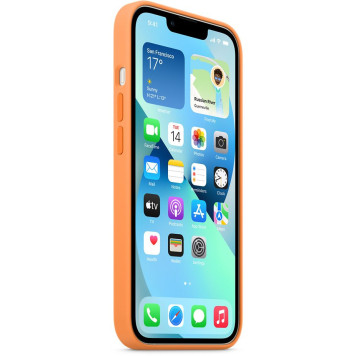 Чехол (клип-кейс) Apple для Apple iPhone 13 mini Silicone Case with MagSafe весенняя мимоза (MM1U3ZE/A) -6