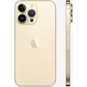 Смартфон Apple A2893 iPhone 14 Pro Max 1Tb 6Gb золотой моноблок 3G 4G 1Sim 6.7