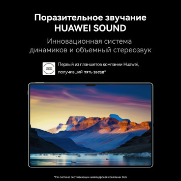 Планшет Huawei MatePad Pro PCE-W29 Kirin 9000W 8C RAM12Gb ROM256Gb 13.2