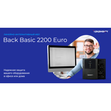 Источник бесперебойного питания Ippon Back Basic 2200 Euro 1320Вт 2200ВА черный -11