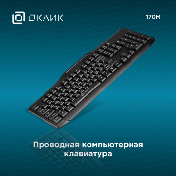 Клавиатура Оклик 170M черный USB -1