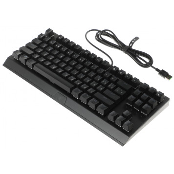 Клавиатура Razer BlackWidow V3 TKL механическая черный/черный USB Multimedia for gamer LED (RZ03-03490700-R3R1) 