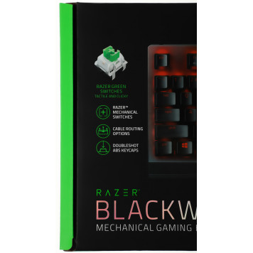 Клавиатура Razer BlackWidow V3 TKL механическая черный/черный USB Multimedia for gamer LED (RZ03-03490700-R3R1) -12