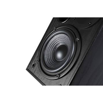 Колонки Edifier R1100 2.0 черный 42Вт -6