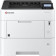 Принтер лазерный Kyocera P3155dn (1102TR3NL0) A4 Duplex Net 