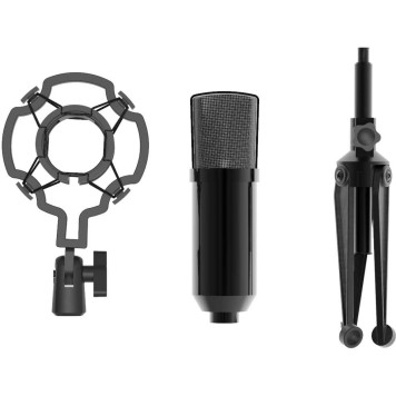 Микрофон проводной Ritmix RDM-160 2.5м черный -3