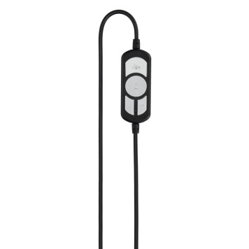 Наушники с микрофоном Hama HS-USB300 черный 2м мониторные оголовье (00139924) -1