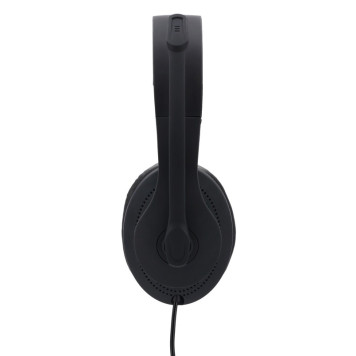 Наушники с микрофоном Hama HS-USB300 черный 2м мониторные оголовье (00139924) -3