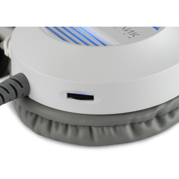 Наушники с микрофоном Оклик HS-L300G White белый 2.2м мониторные USB оголовье (1796952) -10
