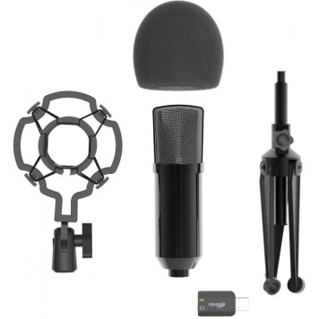 Микрофон проводной Ritmix RDM-160 2.5м черный -2