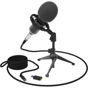 Микрофон проводной Ritmix RDM-160 2.5м черный -5