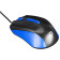 Мышь Oklick 225M черный/синий оптическая (1200dpi) USB (2but) 