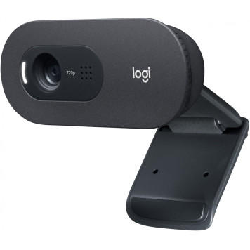 Камера Web Logitech WebCam C505e черный 2Mpix USB2.0 с микрофоном для ноутбука -1