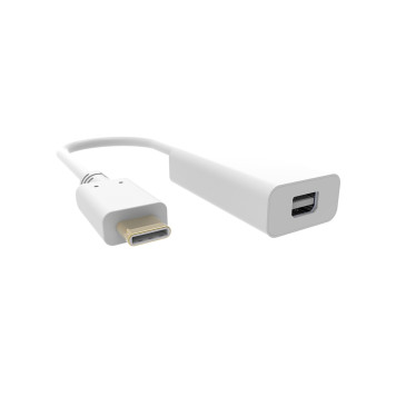 Адаптер Buro BHP RET TPC_MDP USB Type-C (m) miniDisplayPort (f) белый 