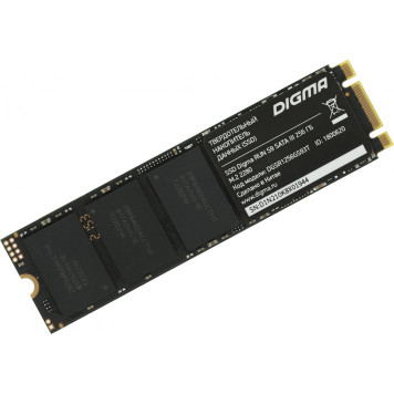 Накопитель SSD Digma SATA III 256Gb DGSR1256GS93T Run S9 M.2 2280 